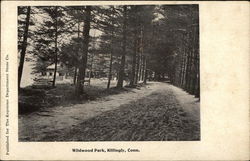 Wildwood Park Postcard