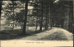 Wildwood Park Killingly, CT Postcard Postcard Postcard