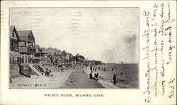 Walnut Beach Milford, CT Postcard Postcard Postcard