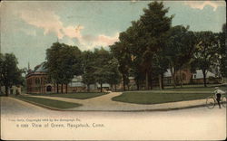 View of Green Postcard