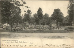 Savin Rock Park Postcard