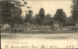 Savin Rock Park Postcard