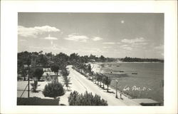 Boulevard and Sea Shore La Paz, BC Mexico Postcard Postcard Postcard