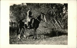 Woman on Horse Women Postcard Postcard Postcard