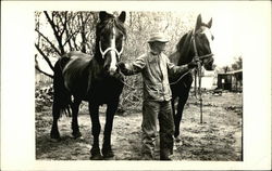 Man Walking Two Horses Postcard