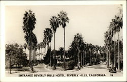 Entrance Beverly Hills Hotel Postcard