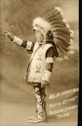 Wa-Pi-Kewe-Nik "White Otter" Passamaquoddy Tribe Native Americana Postcard Postcard Postcard