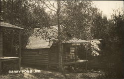 Houses and Trees, Carry Pond Northwest Somerset, ME Postcard Postcard Postcard