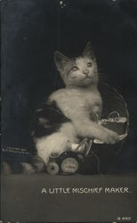 Kitten in Sewing Basket Postcard