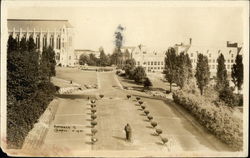 University of Washington - Entramce to Campus Seattle, WA Postcard Postcard Postcard