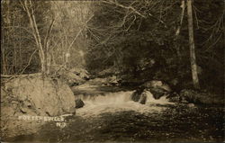 River and Falls Postcard