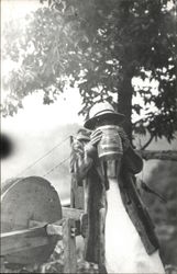 Woman Drinking From Can Georgetown, KY Postcard Postcard Postcard