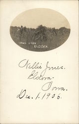 Iowa Corn Postcard