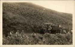 Workers Harvesting Pineapples along Road Honolulu, HI Postcard Postcard Postcard