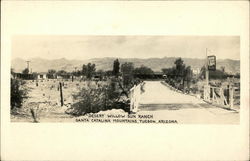 Desert Willow Sun Ranch, Santa Catalina Mountains Postcard