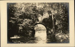 Arch Bridge Medway, MA Postcard Postcard Postcard