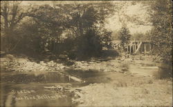 Old Dam, Box Pond Postcard