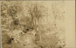 Outdoor Scene with Creek or River Postcard