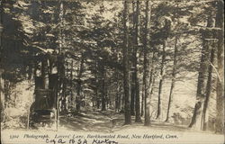 Lovers' Lane, Barkhamsted Road New Hartford, CT Postcard Postcard Postcard