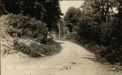 King St. West Postcard