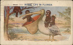 Rural Life in Florida Black Americana Postcard Postcard Postcard