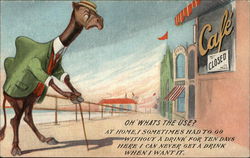 Camel Trying to Get into Cafe Illustration Camels Postcard Postcard Postcard