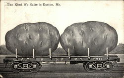 The Kind We Raise in Easton, Me. Exaggeration Postcard Postcard Postcard