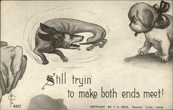 Dog chasing its Own Tail Dachshunds Postcard Postcard Postcard