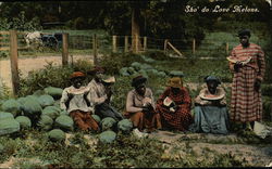 Black People Eating in Watermelon Patch Postcard