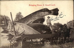 Bringing Home a Good Catch Exaggeration Postcard Postcard Postcard