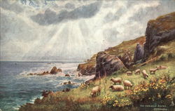 The Manacle Rocks, Cornwall, England Sheep Postcard Postcard Postcard