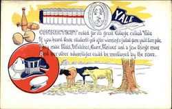 Yale University Universities Postcard Postcard Postcard