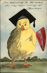 Hand Drawn University of Wisconsin Cartoon Chicken with Pennant Postcard