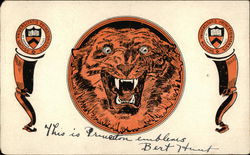 Princeton Mascot Universities Postcard Postcard Postcard