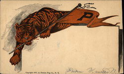 Princeton Tiger Mascot and Flag Universities Postcard Postcard Postcard