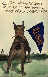 Hand Drawn Dog Holding University of Illinois Pennant Universities Postcard Postcard Postcard