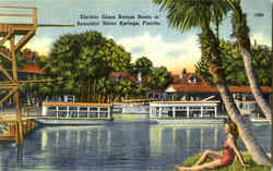 Electric Glass Bottom Boats At Beautiful Silver Springs Postcard