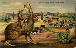 Texas Cowboy Riding A Jack Rabbit Postcard