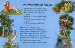 The Rare State Of Florida Poems & Poets Postcard Postcard