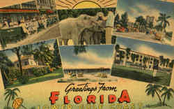 Greetings From Florida Scenic, FL Postcard Postcard