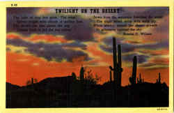 Twilight On The Desert Postcard