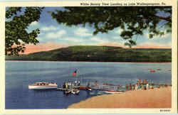 White Beauty View Landing On Lake Wallenpaupack Postcard