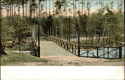 Pine Island Park Bridge Postcard