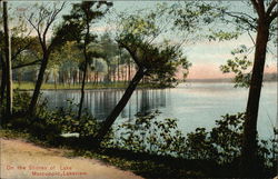 On the Shores of Lake Mascuppic, Lakeview Tyngsborough, MA Postcard Postcard Postcard