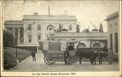 On the White House Grounds, 1907 Postcard