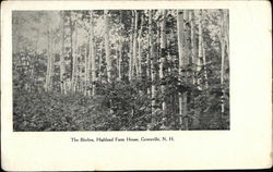 The Birches, Highland Farm House Greenville, NH Postcard Postcard Postcard