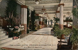 The Lobby, Hotel Raleigh Washington, DC Washington DC Postcard Postcard Postcard