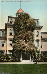 Rose Porch, Mills College Postcard