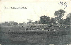 Hood Farm Derry, NH Postcard Postcard Postcard