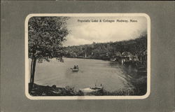 Populatic Lake & Cottages Medway, MA Postcard Postcard Postcard